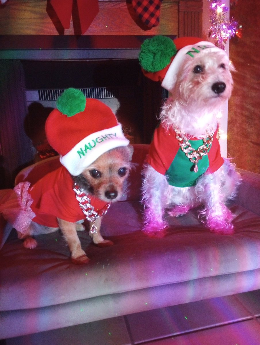 I know there's bigger problems in the world...but why can't I find a McDonald's Holiday Pie anywhere?  Disappointed <a href="/McDonalds/">McDonald's</a> ☹️ Still love you though...❤️

#holidaypie #mcdonalds #holidaydogs #dogmom #topmodel #dogsofx #sundayvibes #why #WANTED #tampabay #floridalife #mileyjo