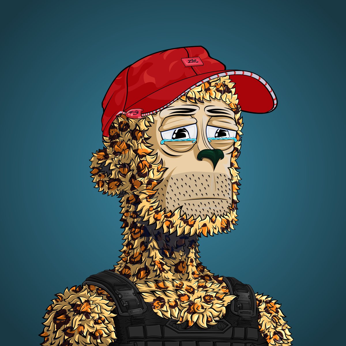 pete_pak's tweet image. Late GM Have a Blessed Sunday All 🙏🏼

@HaiJakd ‘s done it again dropping 3 more of the coming s00n Traits 

Was refreshing to check the wallet and see these 🙌🏽🔥🔥

#z00tz #farmer #bulletproofvest #traitbasedtraits