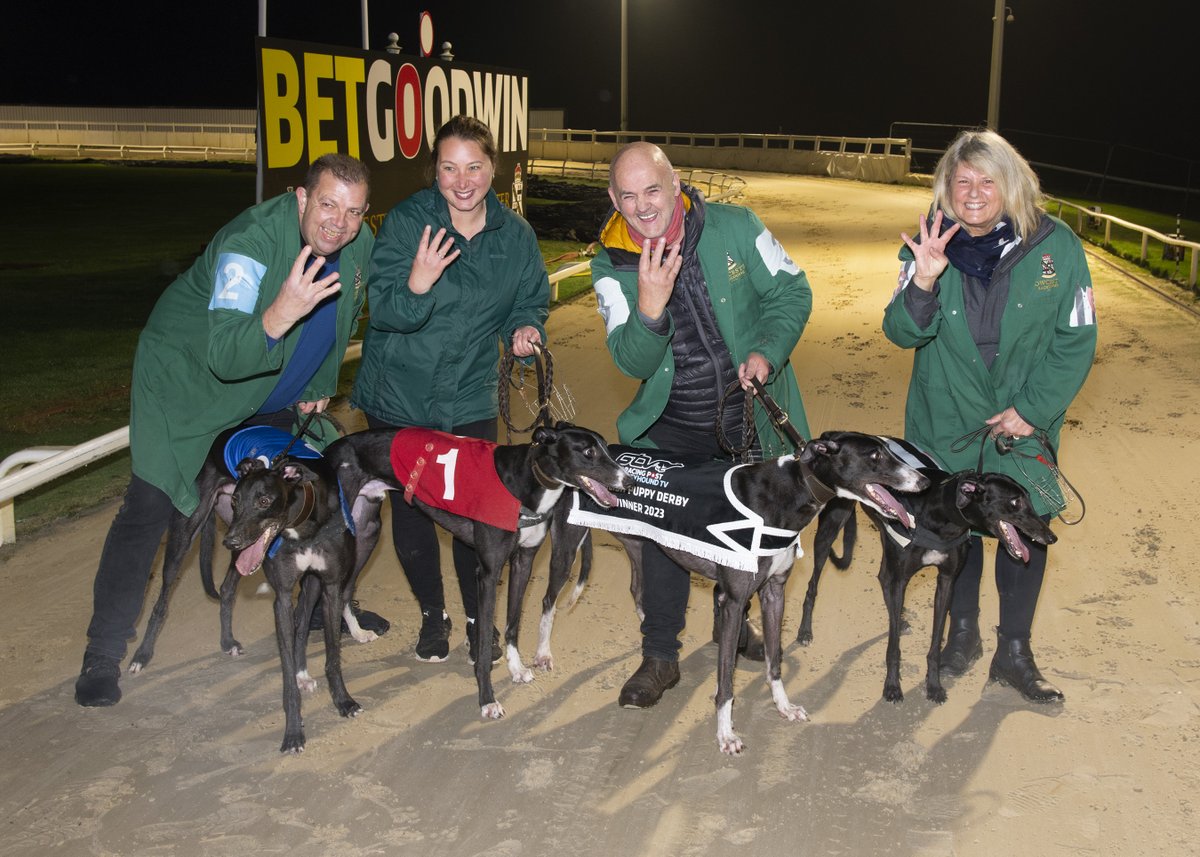 Rab's 'proudest moment'. Incredible first 4 home in RPGTV Puppy Derby Final @TowcesterRaces British Bred and trained by Liz and Rab McNair, owned by KSS Syndicate. L-R: King Combs (3rd), King Capaldi (2nd), champ King Memphis, Queen Dusty (4th) @RabboomMcnair @RPGreyhounds
