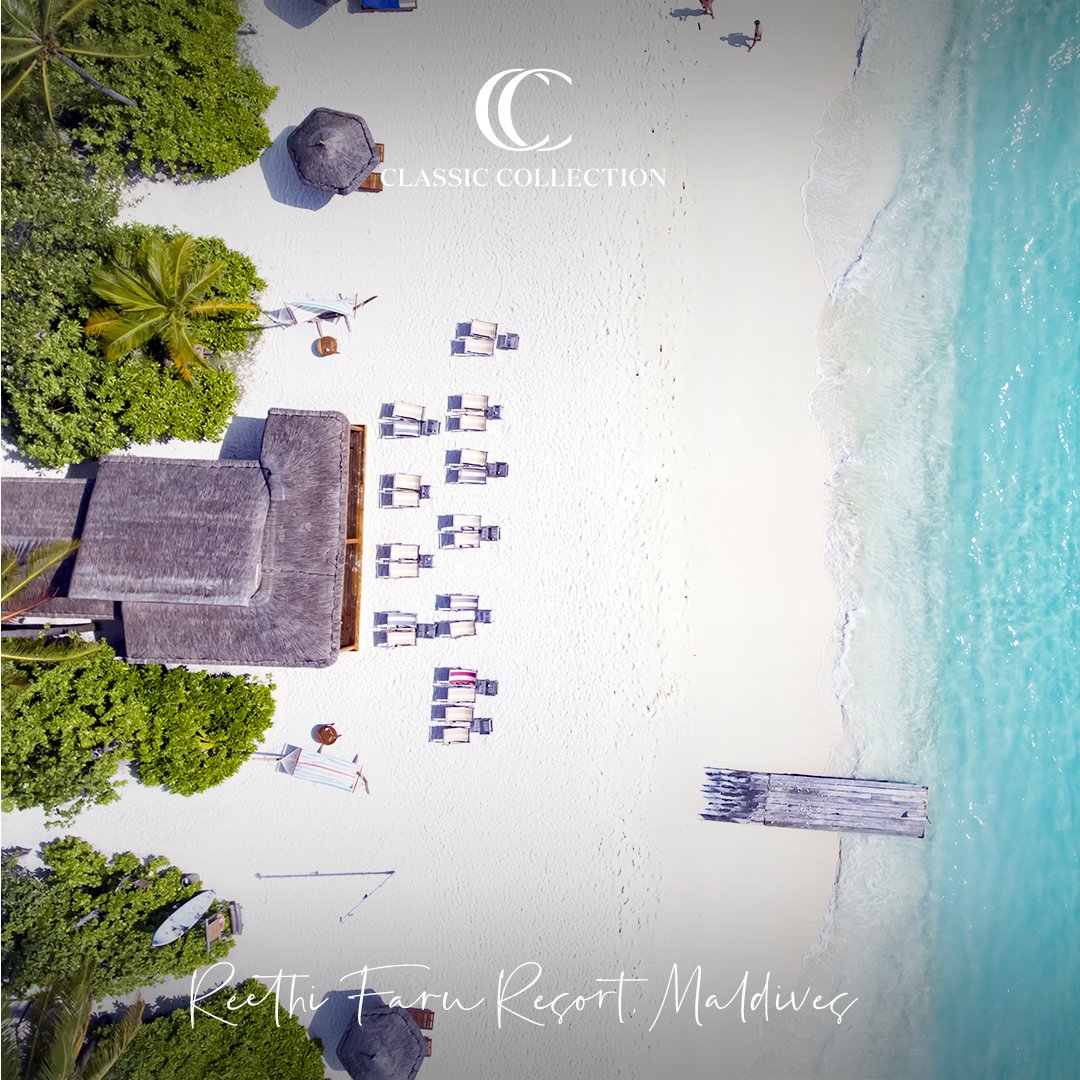 Classic Collection tweet media