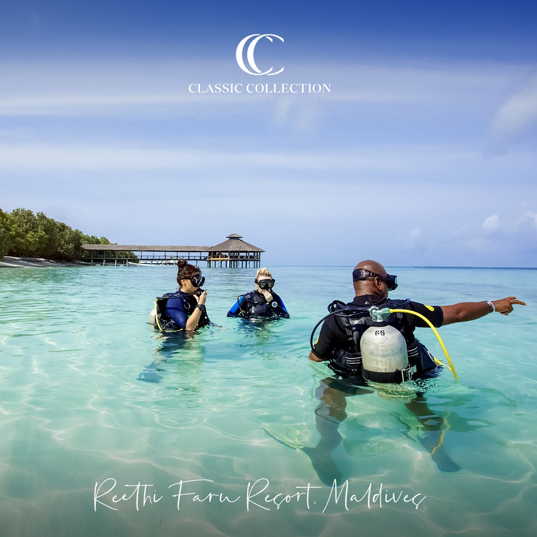 Classic Collection tweet media