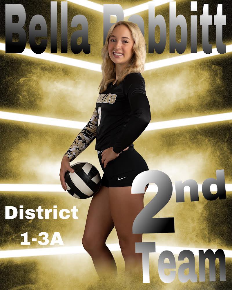 BushlandVBall's tweet photo. Congratulations to these All District players. https://t.co/Haq0YvUJnY