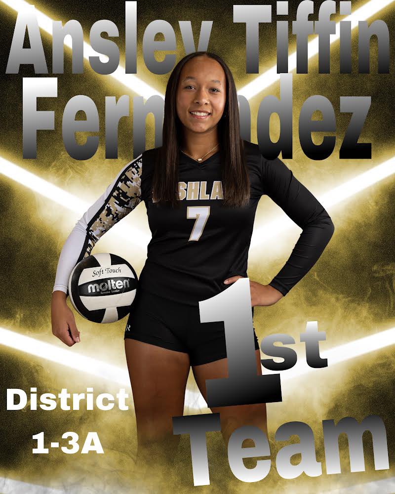 BushlandVBall's tweet photo. Congratulations to these All District players. https://t.co/Haq0YvUJnY