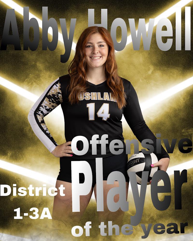 BushlandVBall's tweet photo. Congratulations to these ALL Dist players. https://t.co/t71UvbqCZa