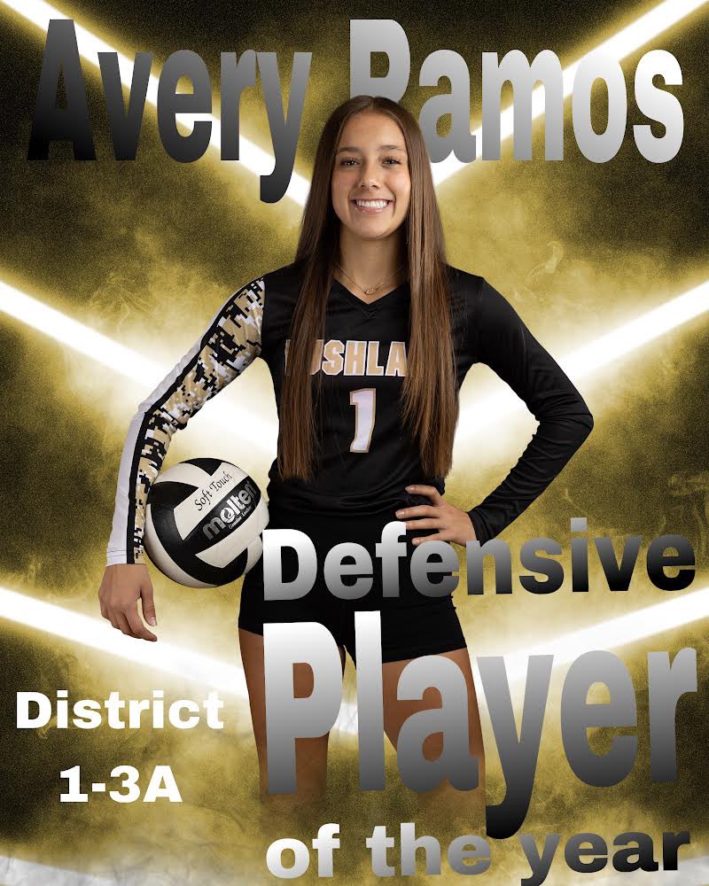 BushlandVBall's tweet photo. Congratulations to these ALL Dist players. https://t.co/t71UvbqCZa