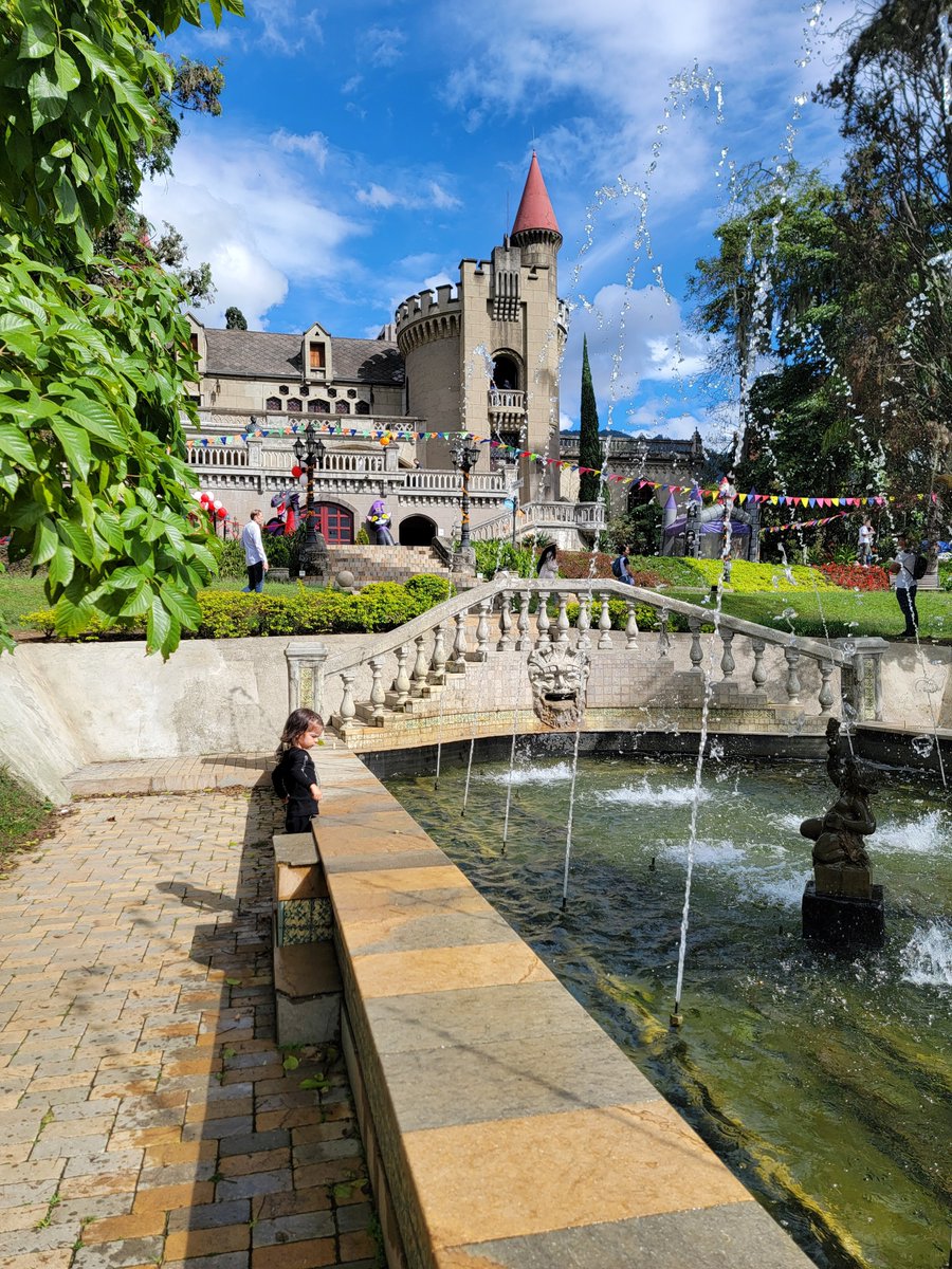 Colin Forward tweet media