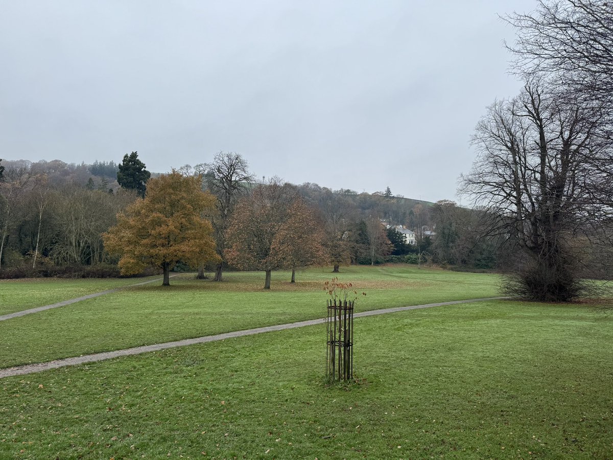 Dolerw Park recovering well from the recent cross country event. Some more special trees to be planted this winter. More news to come… ☺️