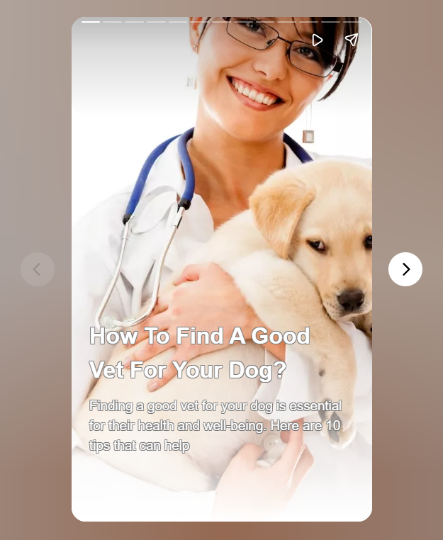 How To Find A Good Vet For Your Dog?

Finding a good vet is one of the most crucial things when you have a dog. Here are 1o detailed tips to help you find a reliable and competent veterinarian.

webstories.today/watch/how-to-f…