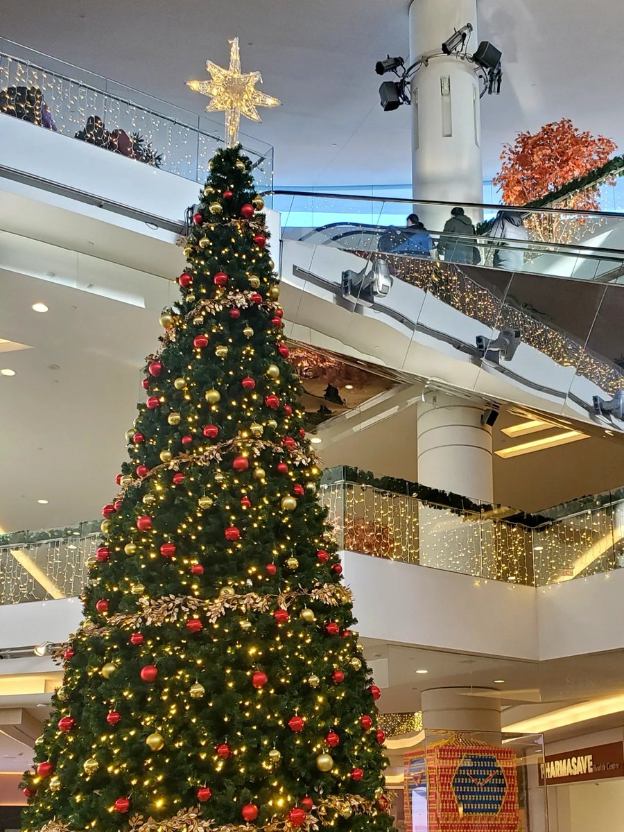 sinem_seven's tweet photo. I could've sworn it was Christmas morning, but it looks more like a Mardi Gras parade went through the living room🎄☃️ https://t.co/4RGZ8Yc7d2
