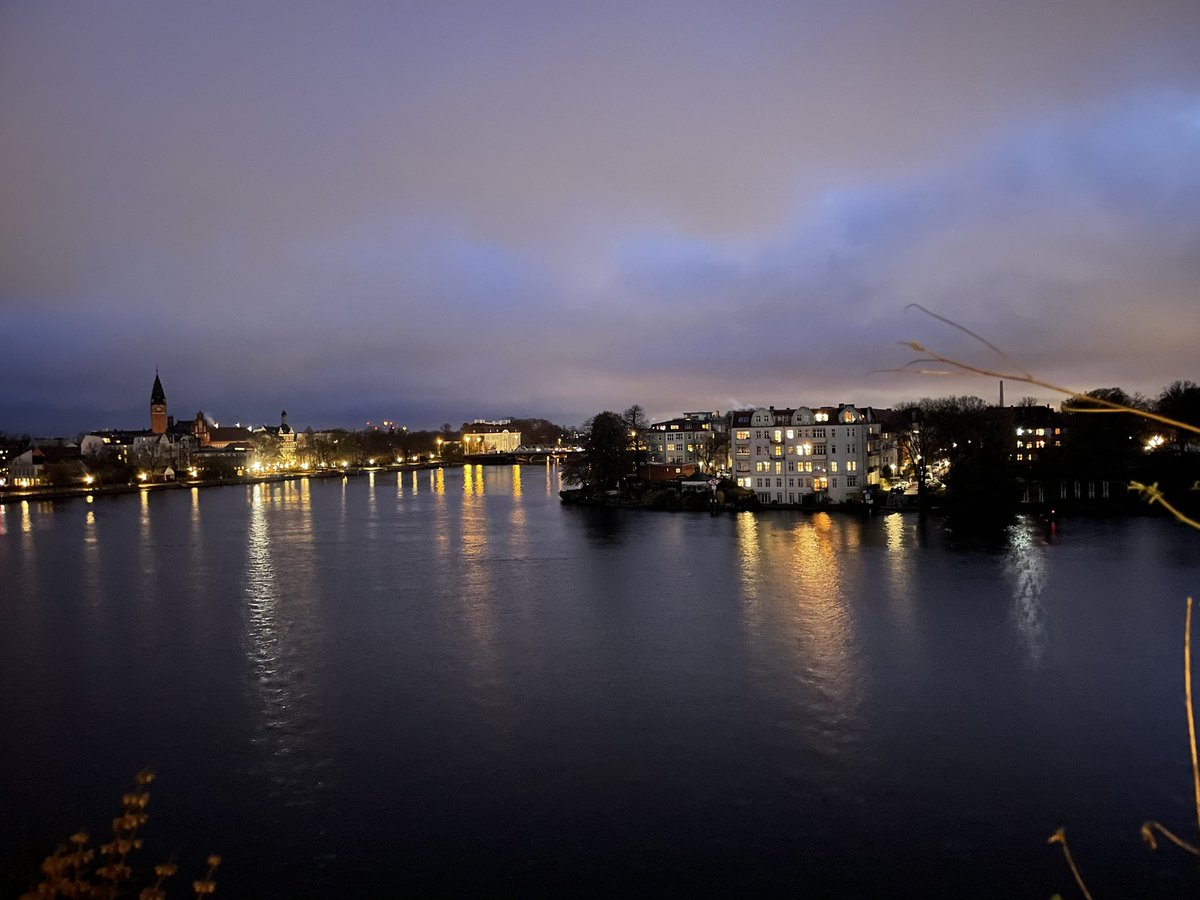 Planet Fox (@planet_fox) on Twitter photo 