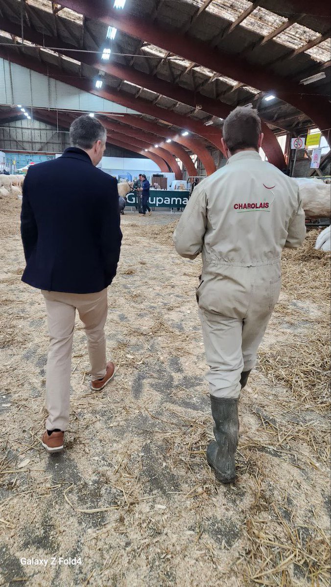 LoicKervran18's tweet photo. 8 photos en 2 posts (1/2) pour raconter ces 2 derniers jours : pas simple de choisir!

#SaintAmand - concours charolais
#Sancergues - inauguration d’école
#Trouy - soirée chefs d’entreprise

Avec en bonus une photo prise quelque part sur les routes de la circonscription! 

#Berry https://t.co/IRUSamYHSj