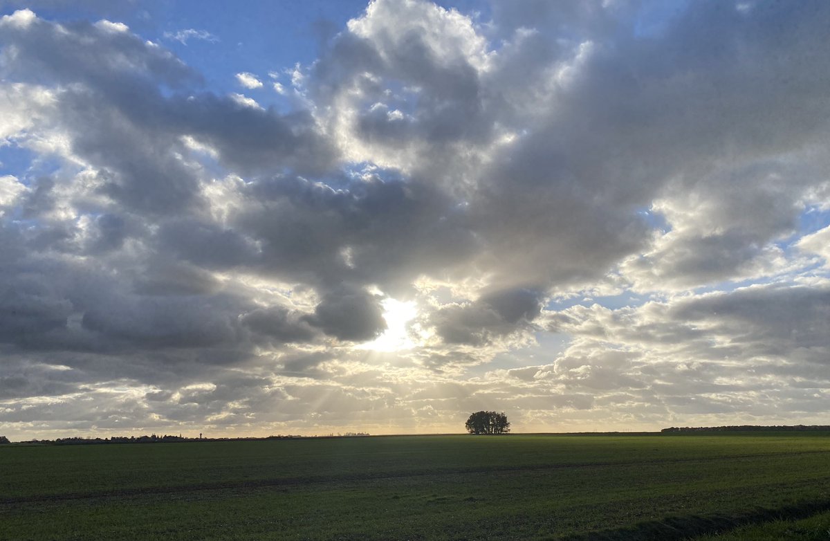 LoicKervran18's tweet photo. 8 photos en 2 posts (1/2) pour raconter ces 2 derniers jours : pas simple de choisir!

#SaintAmand - concours charolais
#Sancergues - inauguration d’école
#Trouy - soirée chefs d’entreprise

Avec en bonus une photo prise quelque part sur les routes de la circonscription! 

#Berry https://t.co/IRUSamYHSj