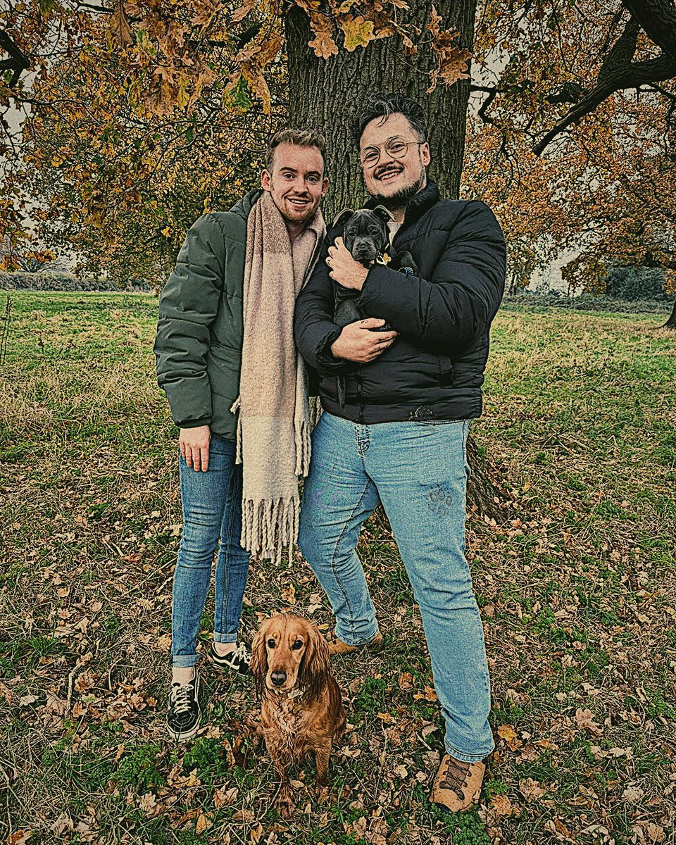 tedjburr's tweet photo. Gay dog dads. https://t.co/jZbNIyRD40