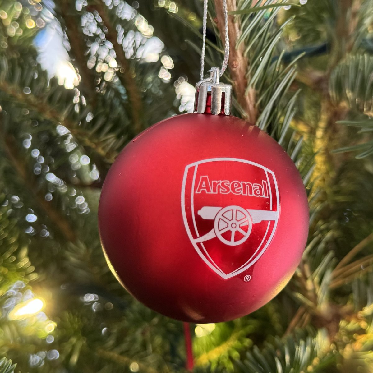 Celebrating the season … #Arsenal #ArsenalFootballClub #AFC