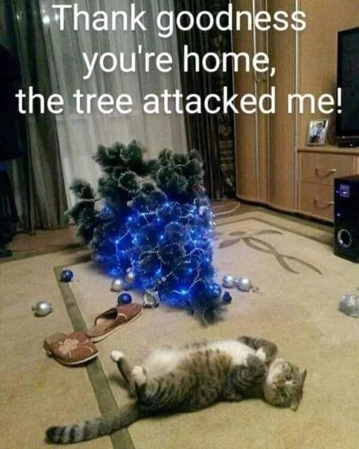 garyoperator's tweet photo. @SavageKairn @Romajo1255 I can actually picture this. LOL  I wonder just how many trees peoples cat https://t.co/KApRLcEqLP