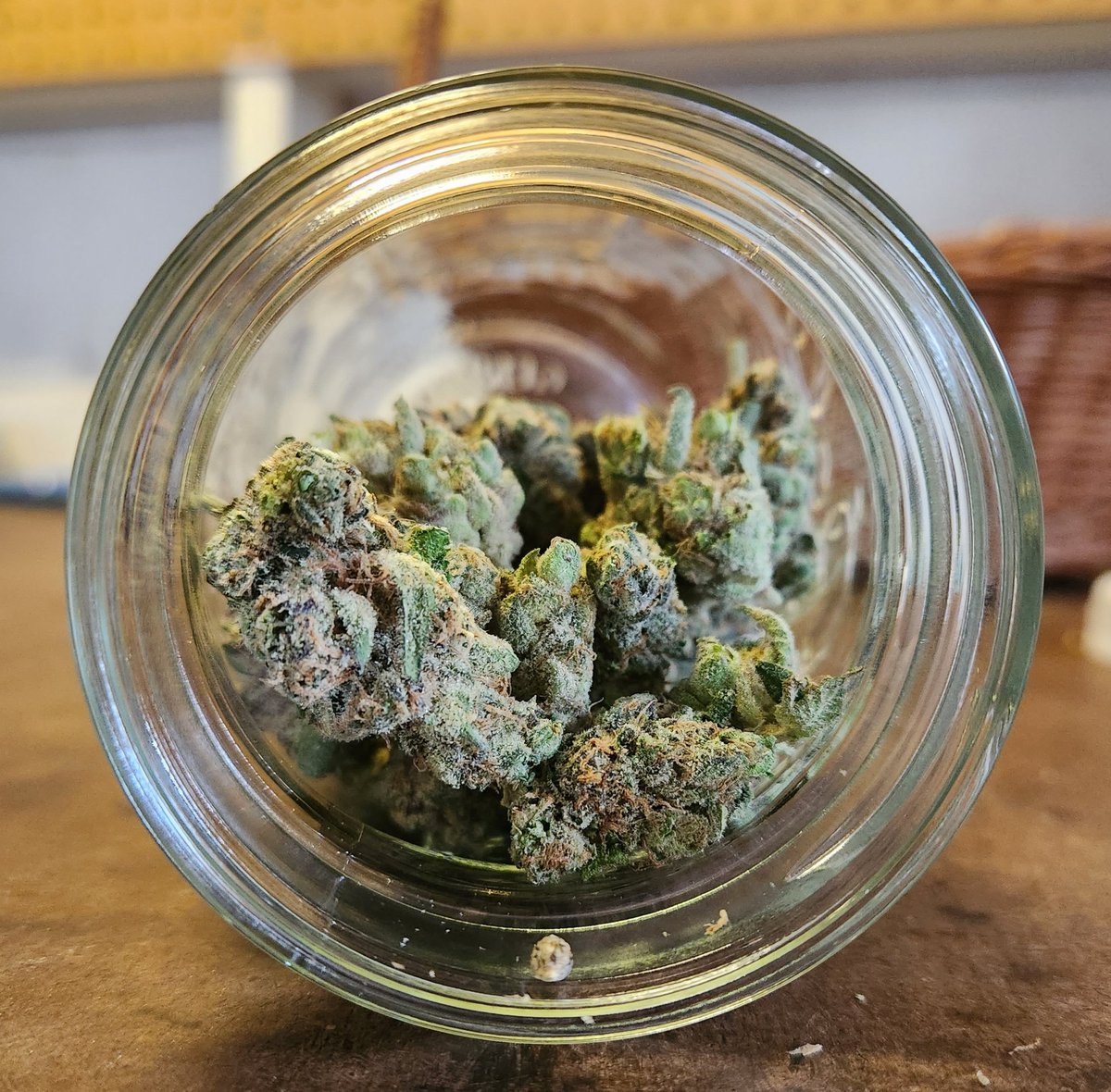 CBRNOIR's tweet image. Hello little one. I'm gonna take care of you now. #GotWeed