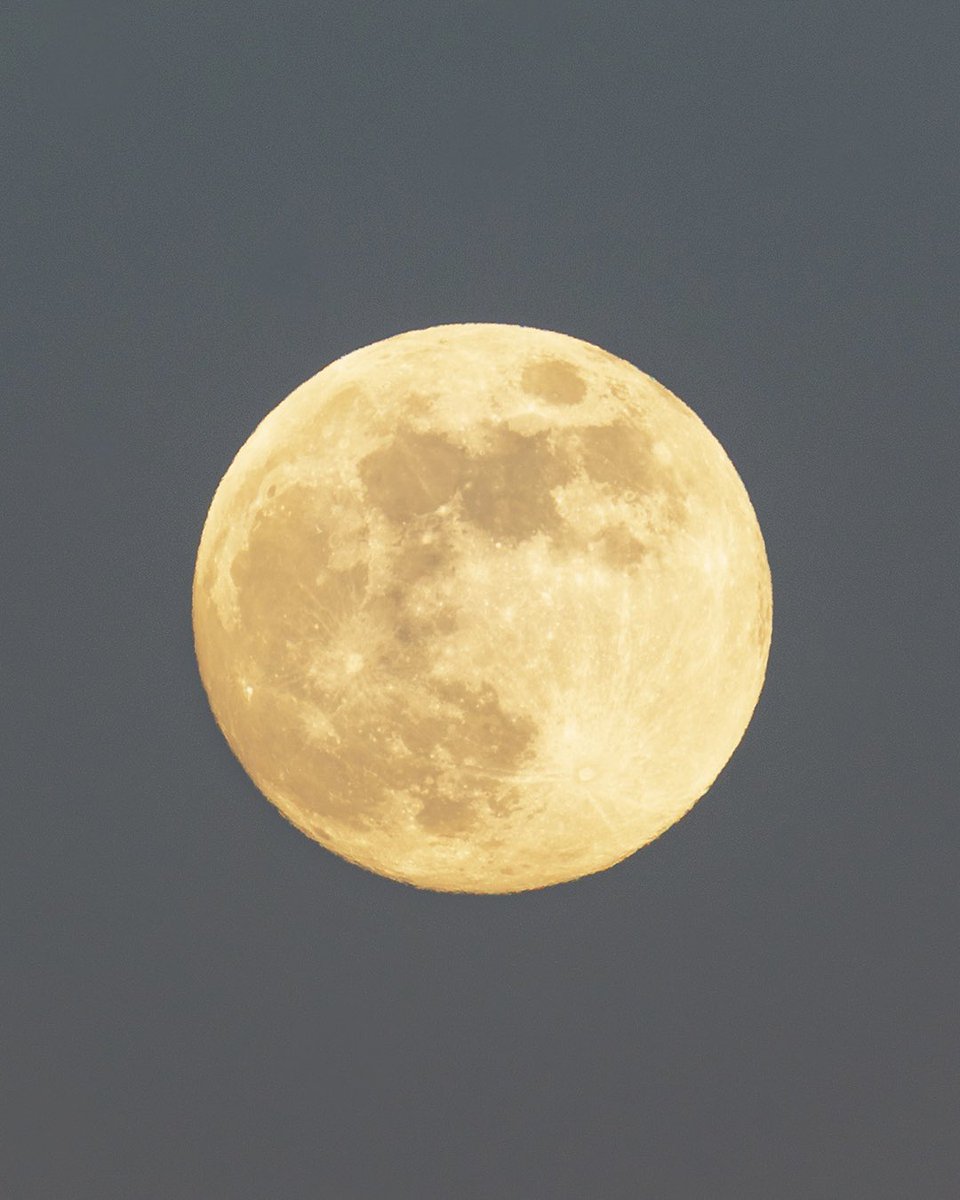 shotbynau's tweet photo. Luna creciente al 99,5% sacada desde el balcón de mi casa, buenas noches Tenerife 🌕🫶🏻 https://t.co/QILUpKSjpa