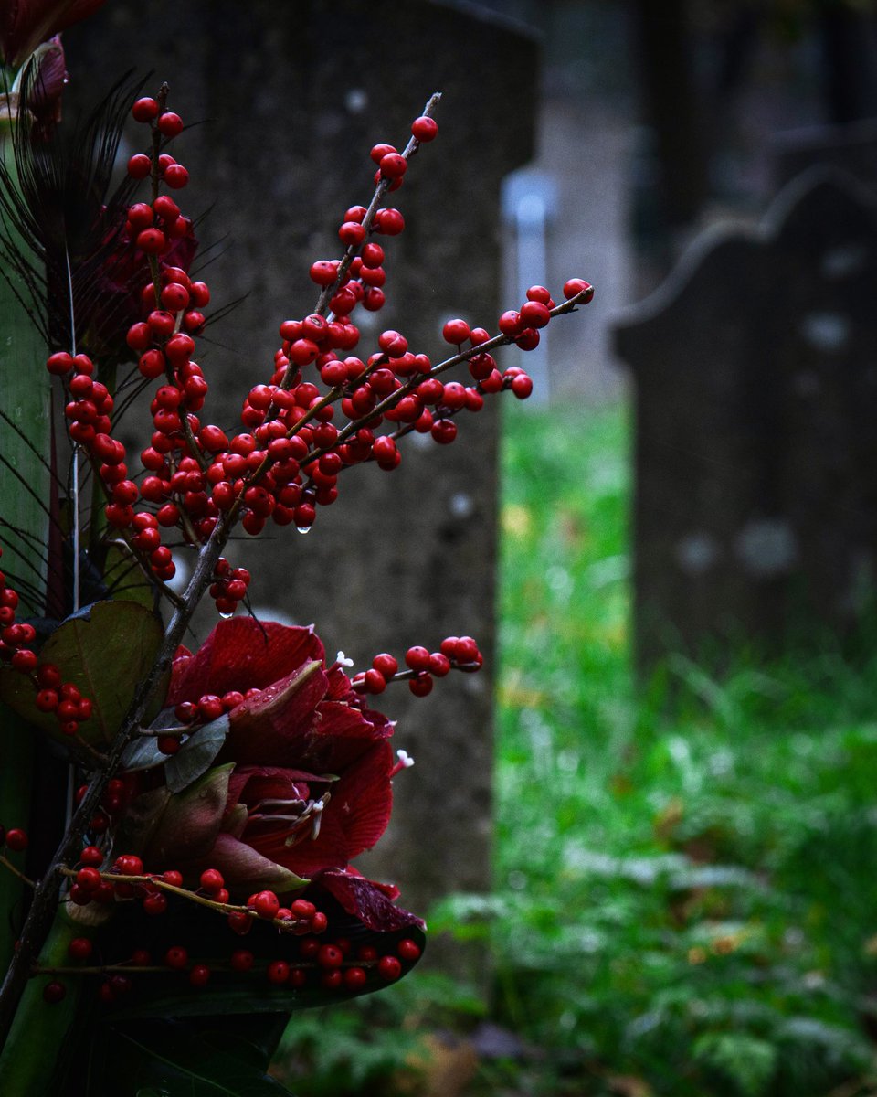 De laatste bladeren als herinnering aan een kleurrijk seizoen. #oudebegraafplaatsgouda #gouda #groenehart