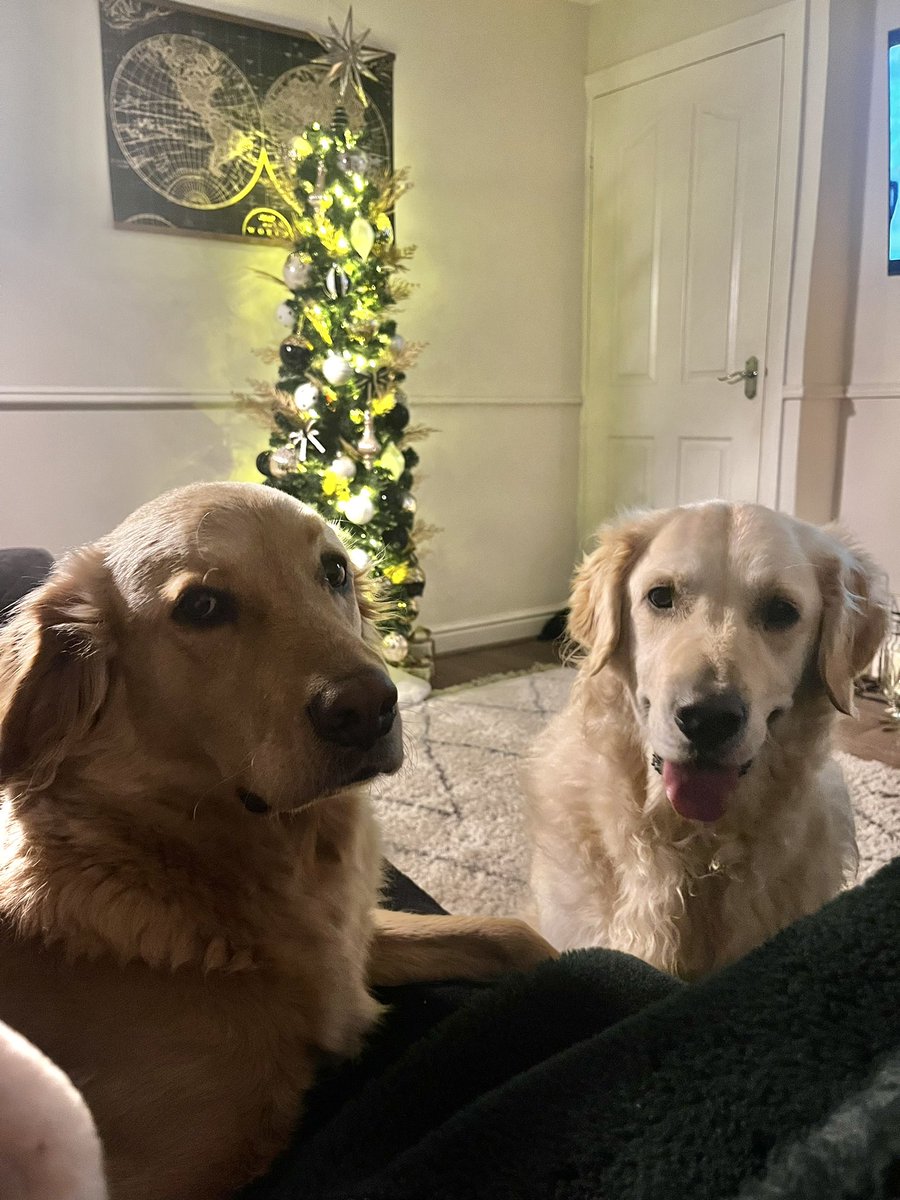 aejefferies's tweet image. 🫶🏻🤍🎄