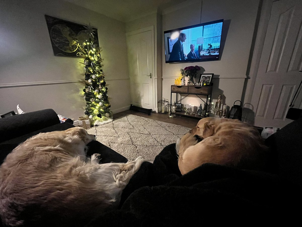 aejefferies's tweet image. 🫶🏻🤍🎄