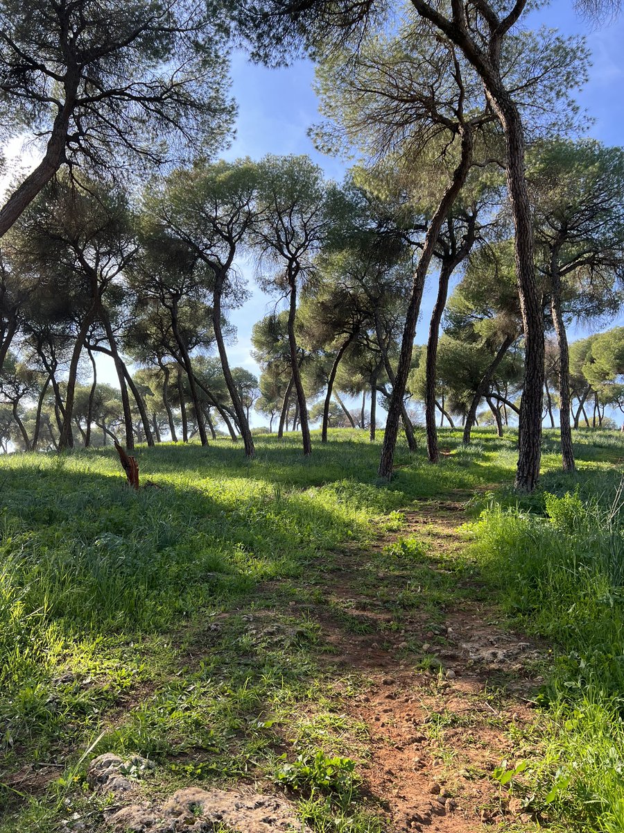 Mi pueblo es precioso