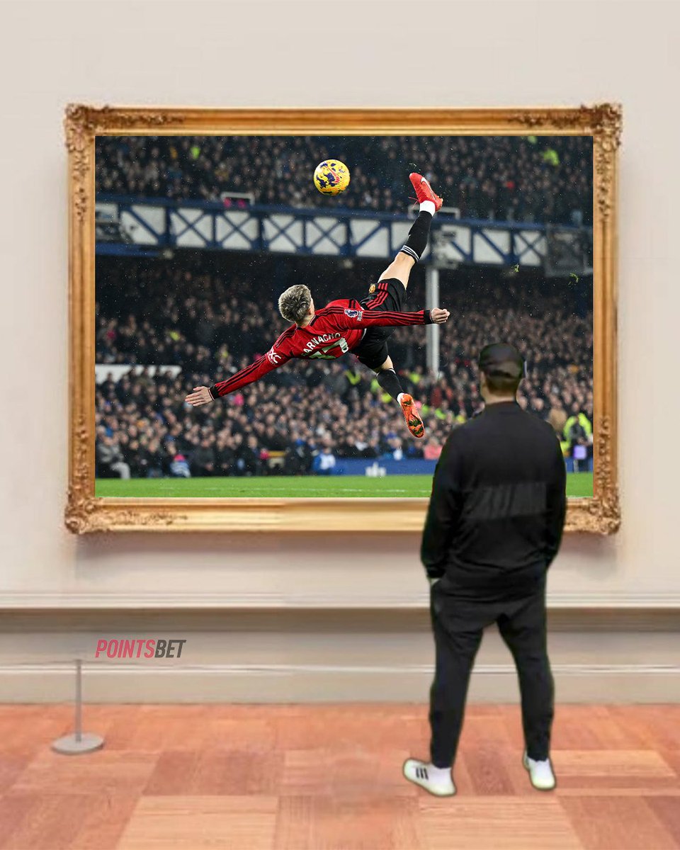 Hang it in the Louvre United fans 😮‍💨

#PL || #MUFC || #EVEMUN