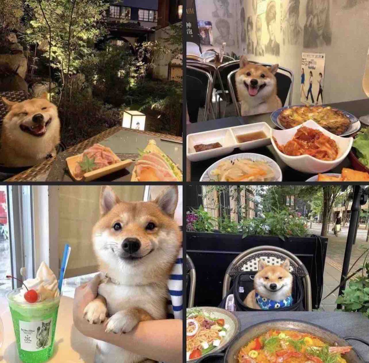 Guarromantico_'s tweet photo. Yo cuando me dan comida: https://t.co/4dmdQD3yXe