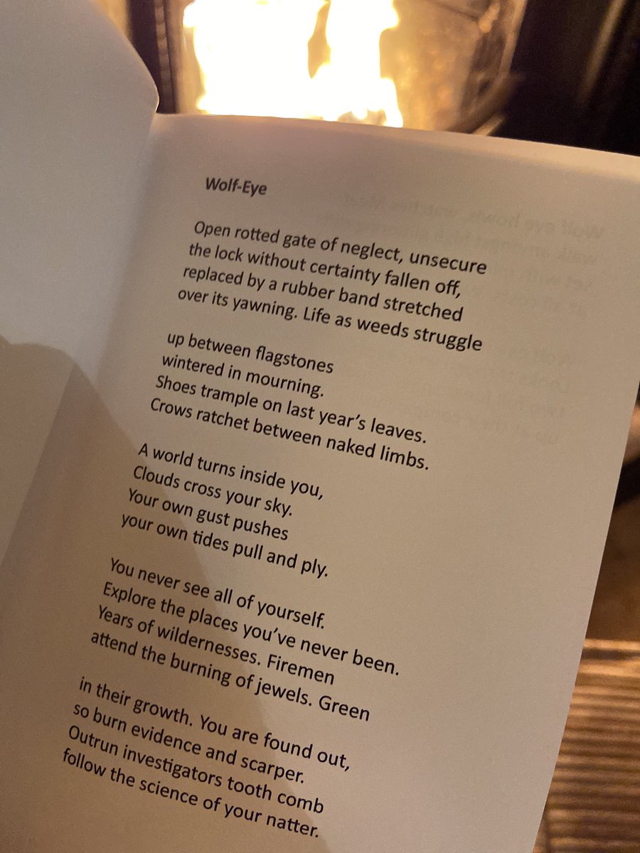 Rhona_Greene's tweet photo. ‘Wolf eye is fully opened inside you.
Looks through your eyes
two lunar spheres looking
up at their companion’
Reading @PaulDragonwolf1 ‘Wolf Eye’ by the fire. This tiny book will fit in your pocket, it also contains something so immense it takes possession your being!🌙🐺🔥 https://t.co/vS1PuN2mYN