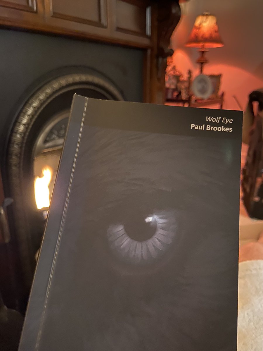 Rhona_Greene's tweet photo. ‘Wolf eye is fully opened inside you.
Looks through your eyes
two lunar spheres looking
up at their companion’
Reading @PaulDragonwolf1 ‘Wolf Eye’ by the fire. This tiny book will fit in your pocket, it also contains something so immense it takes possession your being!🌙🐺🔥 https://t.co/vS1PuN2mYN