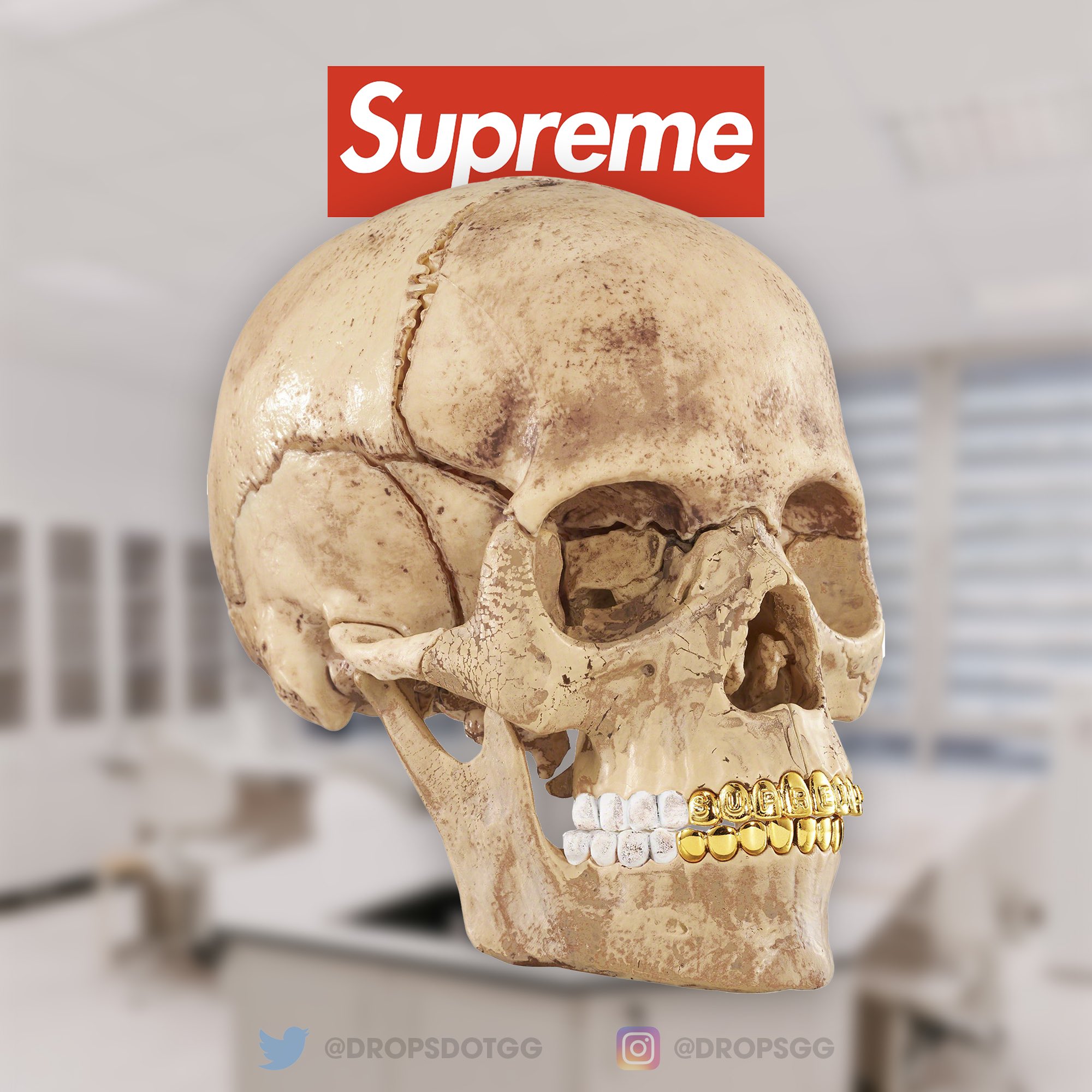 品質重視 supreme 4d model human skull シュプリーム スカル | www 品質重視 supreme 4d model human skull シュプリーム スカル | www