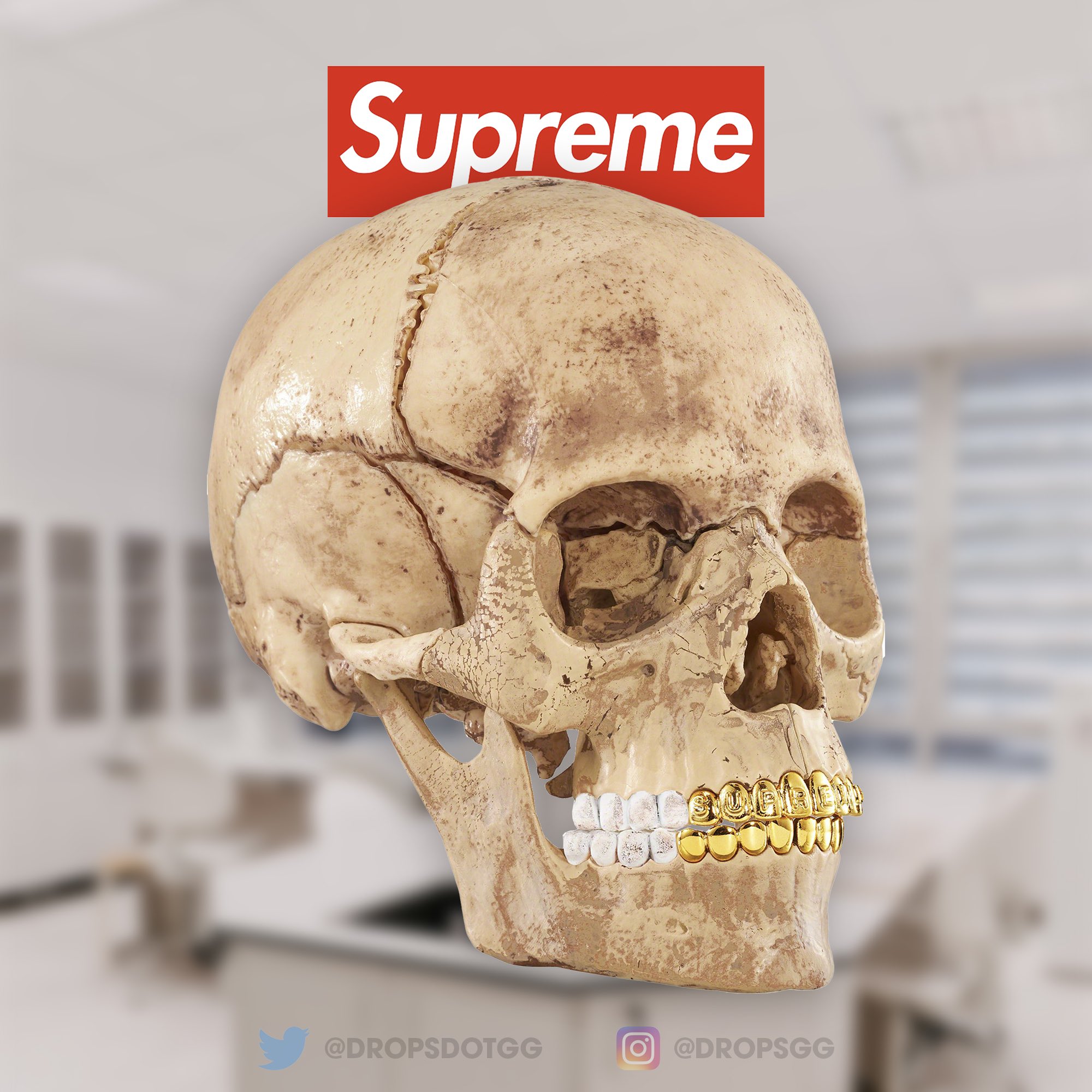 supreme  4D Model Human Skull