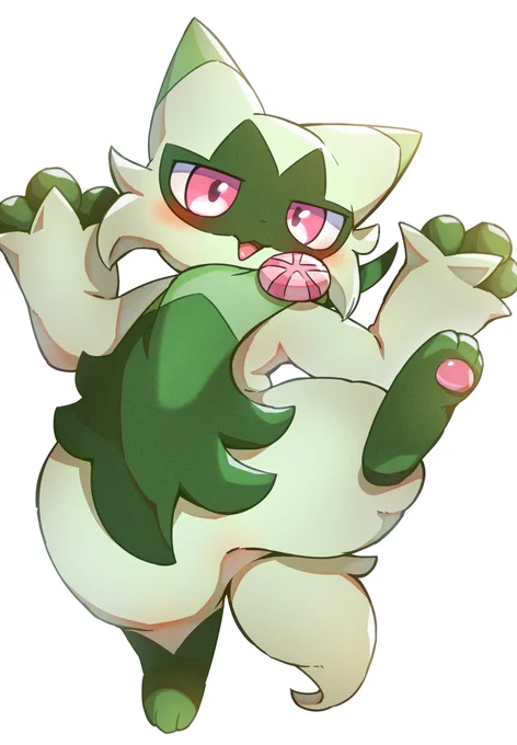 ニャロ 