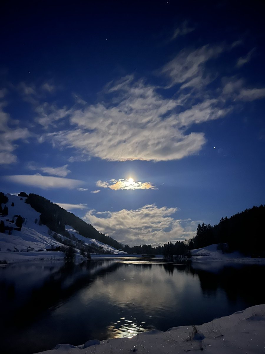 Markus_Strauss_'s tweet photo. #moonshine over a small lake https://t.co/idByhedov2