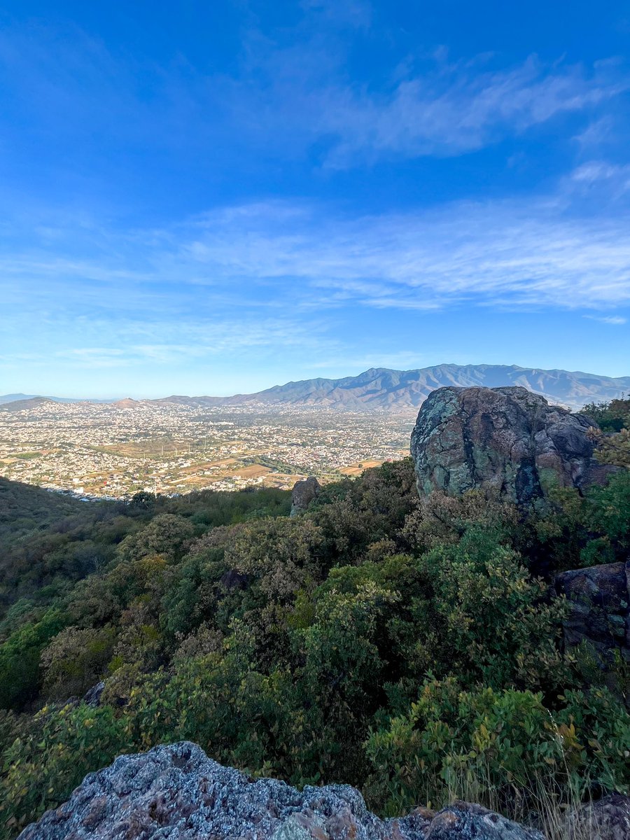 abfranco_'s tweet photo. Hoy se subió el cerro, una mañana fuera de la rutina 🫶🏻

#oaxaca #skyline #cerro #mountain #caminata #walk #rocks #vestigios #viveoaxaca https://t.co/b1U0utqk9k