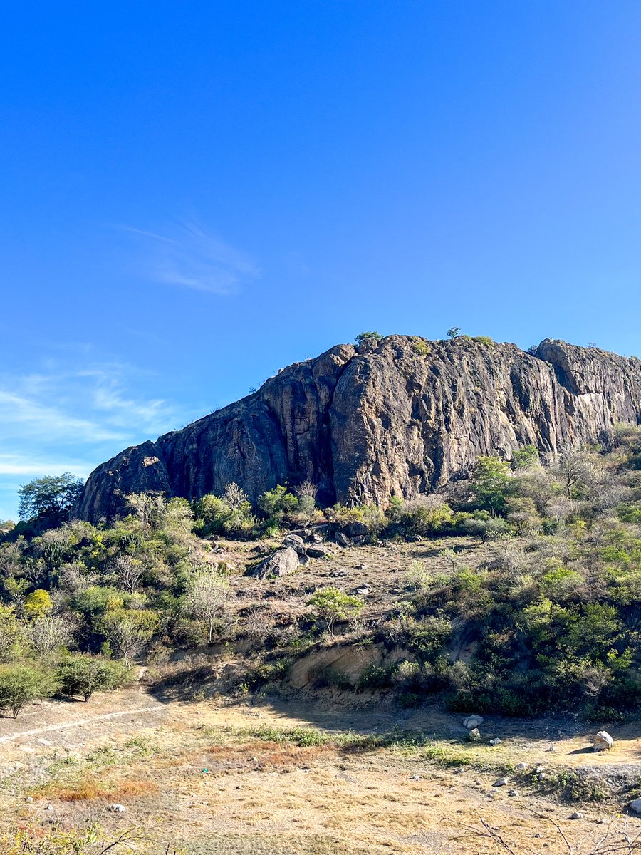 abfranco_'s tweet photo. Hoy se subió el cerro, una mañana fuera de la rutina 🫶🏻

#oaxaca #skyline #cerro #mountain #caminata #walk #rocks #vestigios #viveoaxaca https://t.co/b1U0utqk9k