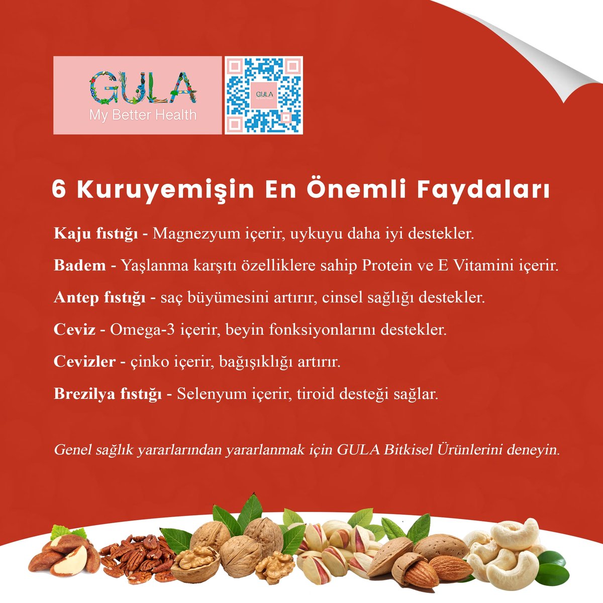 doctorgula's tweet photo. 6 Kuruyemişin En Önemli Faydaları
Genel sağlık yararlarından yararlanmak için GULA Bitkisel Ürünlerini deneyin.
#herbalism
#herbalife
#DoctorGula
#natural
#organic
#immunity
#SakirYavuz https://t.co/UIGRv1Td3p