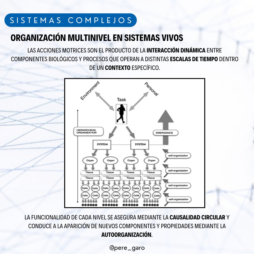Pere_garo's tweet photo. @ComplexSSport #complexsystems #sportcomplexity #sportinjury https://t.co/sOAestpMss