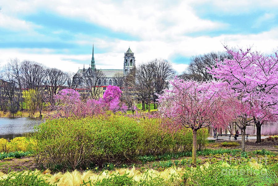 eusocialmeg's tweet photo. @culturaltutor Surprisingly got a few wonders here in NJ. Cathedral Basilica of the Sacred Heart in Newark, and largest Hindu temple outside of Asia just opened in Robbinsville. Both are breathtaking https://t.co/ZZJ9DVqqTs