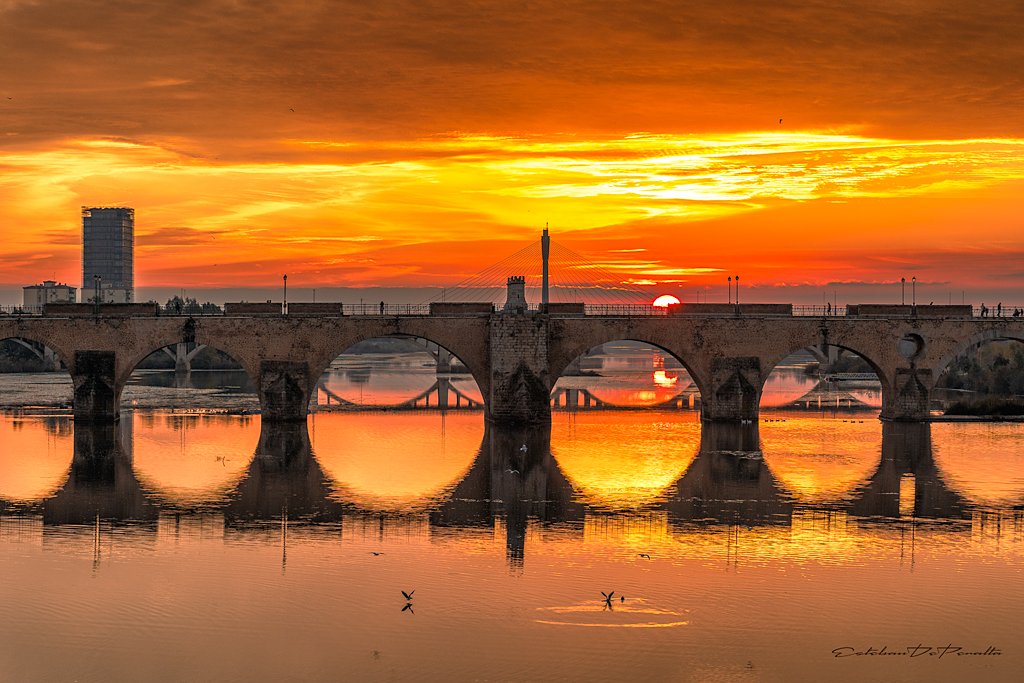 EstebanDePeral1's tweet photo. Lo de hoy....... Buenas noches. #Badajoz https://t.co/rdDtM2EEvJ
