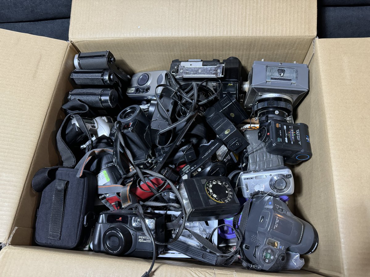 MikeBar1966's tweet photo. Space considerations demand that I think the collection some. These will sit in a box for a while then when I truly haven’t missed any of them they’ll be sold/become giveaways or get thrown if they’re dead. https://t.co/CijNgT3yxy