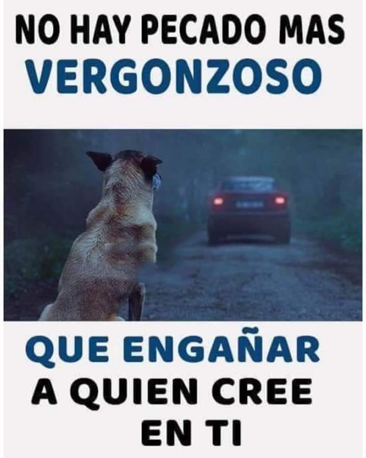 Perrosenlacalle's tweet photo. Vergonzoso y vil, más bien, no tiene nombre ese acto 😡 https://t.co/dKZ1ISaaEH