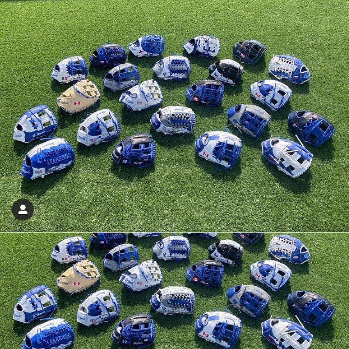 Llerandi Gloves tweet media