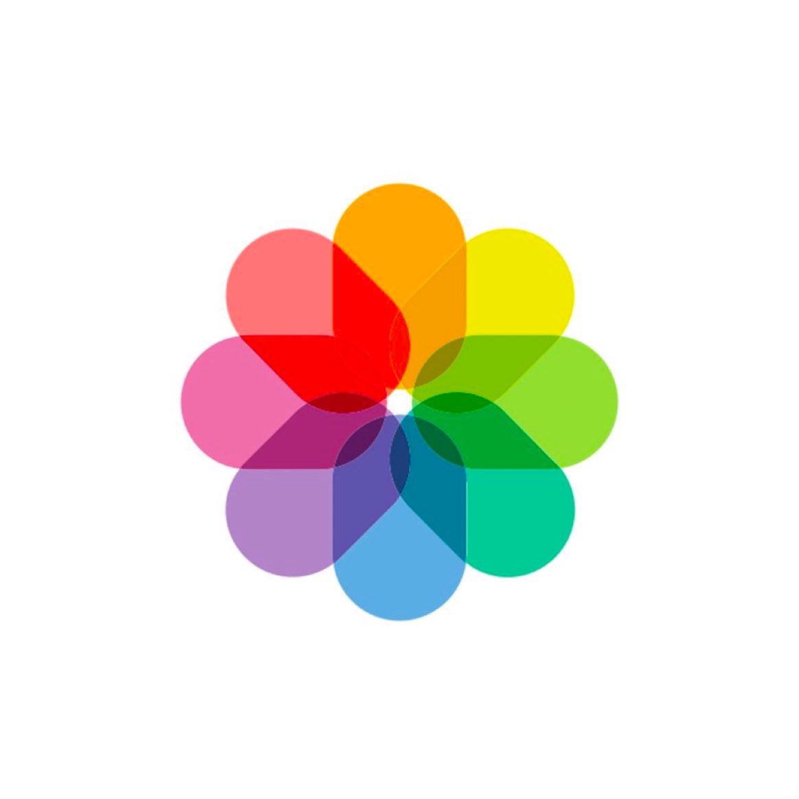 زاوية عِلْم tweet media