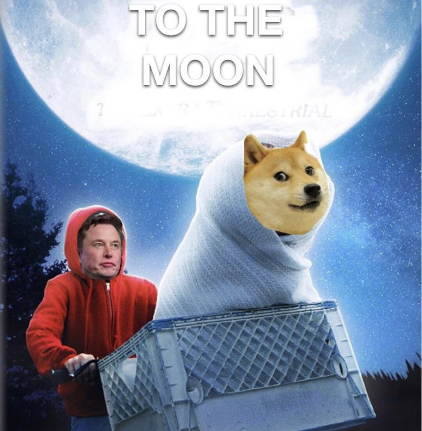 itsALLrisky's tweet photo. Dogecoin to the moon! https://t.co/GTiQq00NG6
