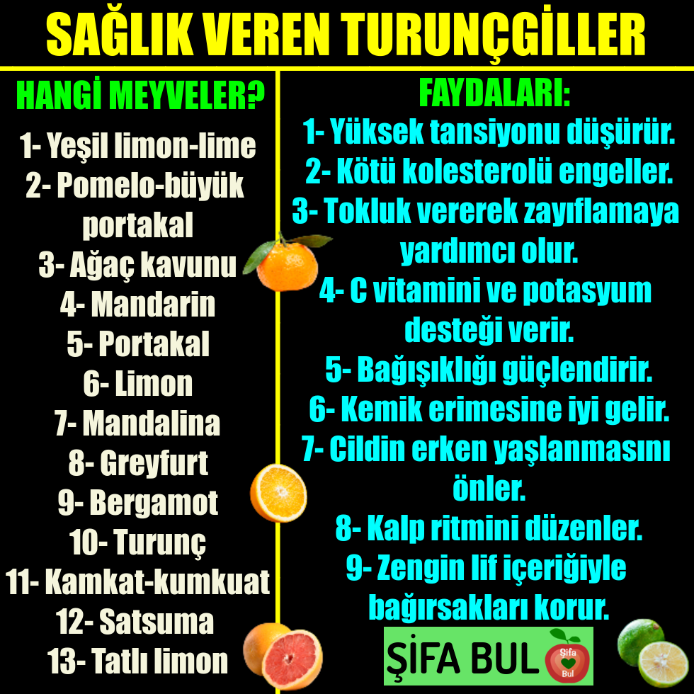SifaBul's tweet photo. HANGİ MEYVELER TURUNÇGİLLER AİLESİNDENDİR?
#şifabul #şifabulun #turunçgiller #turunçgillerinfaydaları #narenciye #narenciyeninfaydaları #turunçgilmeyveler #kışmeyveleri #portakal #mandalina #limon #satsuma #bergamot #lime #yeşillimon #tatlılimon #kamkat #kumkuat #greyfurt https://t.co/MVZ3awzpyd