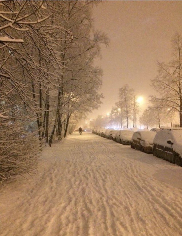 usul usul yürünesi..