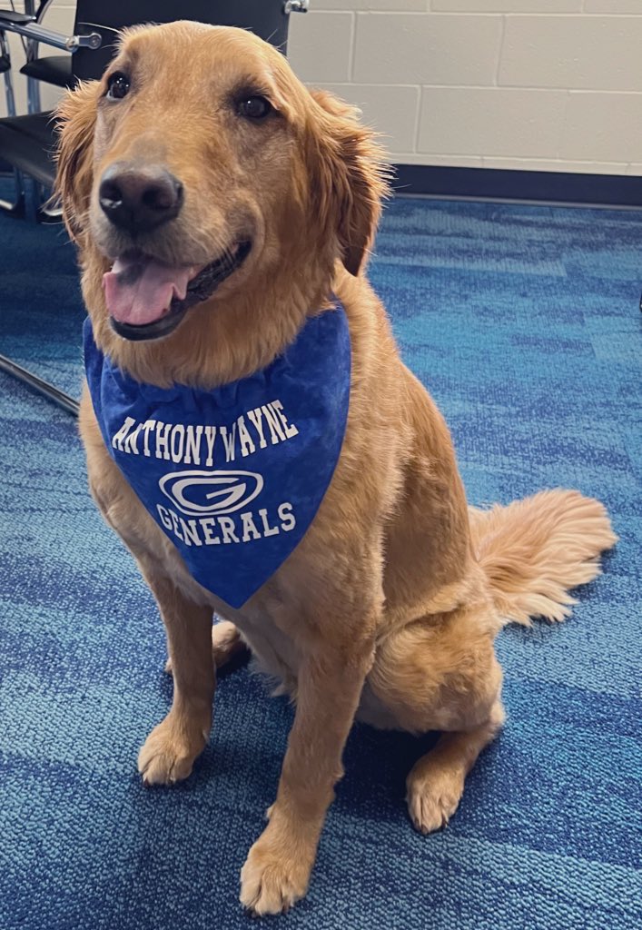 Happy 9th birthday to our favorite therapy dog 🐕, Laney!   We love you and everything you bring to our school! <a href="/abilitycntr/">The Ability Center</a> #therapydog #weloveLaney