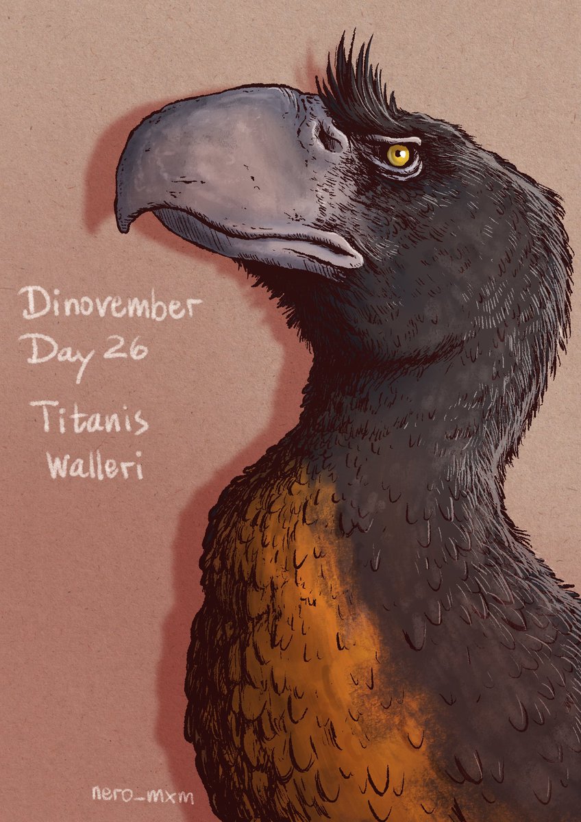 Dinovember Day 26: Titanis walleri
#Dinovember2023