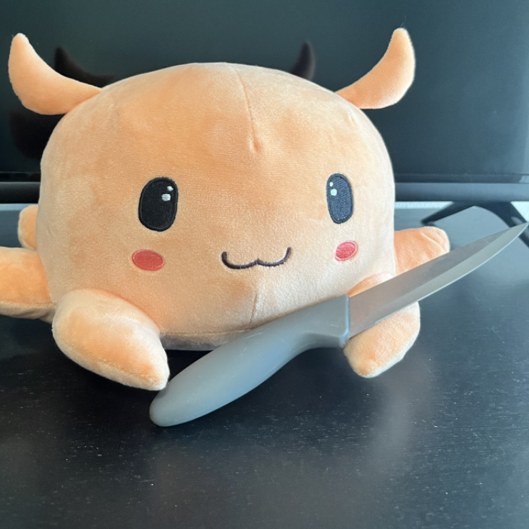 Noctapus 🐙🌊 tweet media