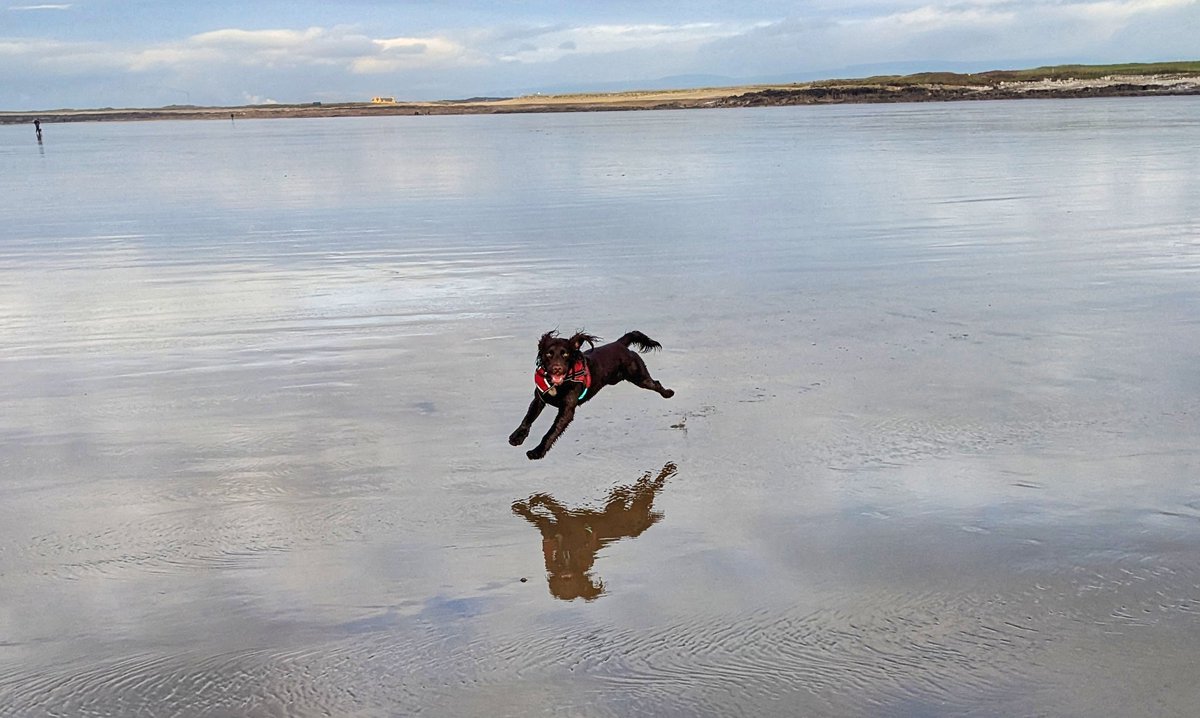 BarriMoc's tweet photo. Tro hyfryd i Fae Rest heddiw bora! #Mabon wrth ei fodd! #Cymru #DyddSul #Teulu #Arfordir #Porthcawl #Amdani https://t.co/EZtrmwYyd2